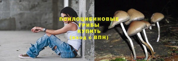 стафф Пересвет