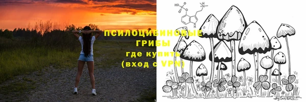 стафф Пересвет