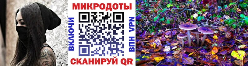 мориарти формула  как найти   Курск  Галлюциногенные грибы Psilocybine cubensis 