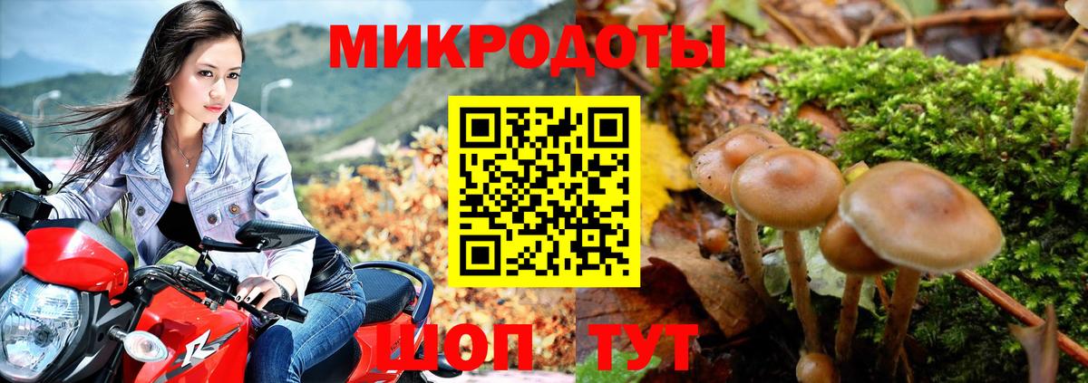 что такое наркотик  Вход с VPN  Курск  Псилоцибиновые грибы Magic Shrooms  Галлюциногенные грибы мухоморы 