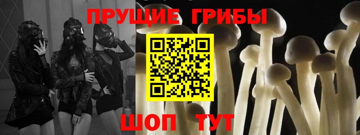 Псилоцибиновые грибы мухоморы Курск